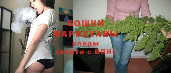 индика Россошь