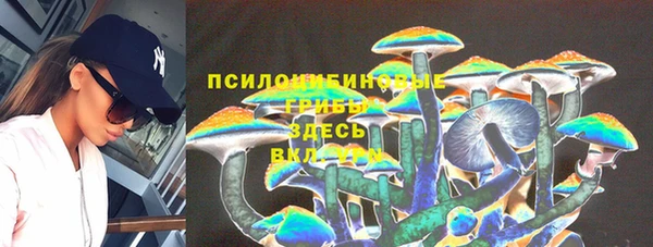ALPHA PVP Баксан