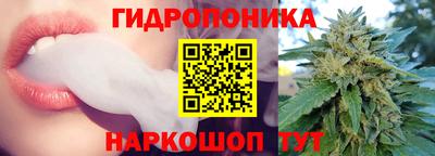 ECSTASY Кинель
