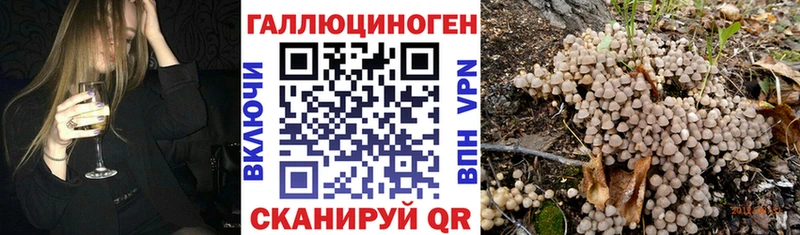 купить наркоту  Лыткарино  Галлюциногенные грибы мицелий 