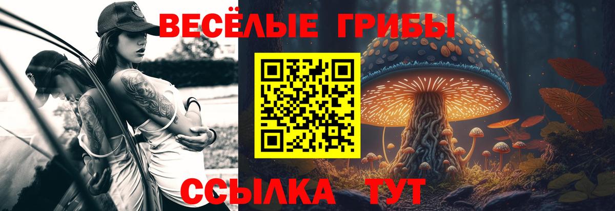 Лыткарино  Галлюциногенные грибы прущие грибы  Вход с VPN 